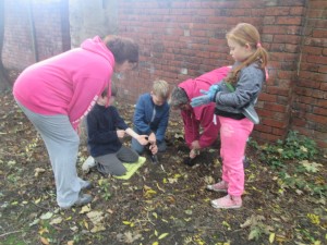 Community Bulb Planting